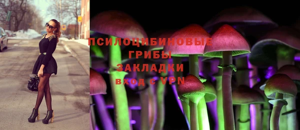 дурь Верхний Тагил