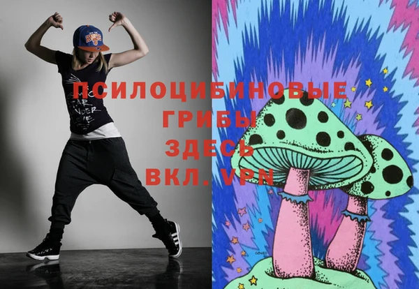 mdpv Верея