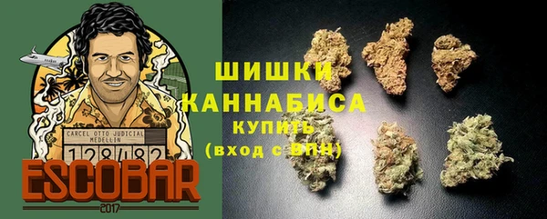 прущие грибы Верхнеуральск