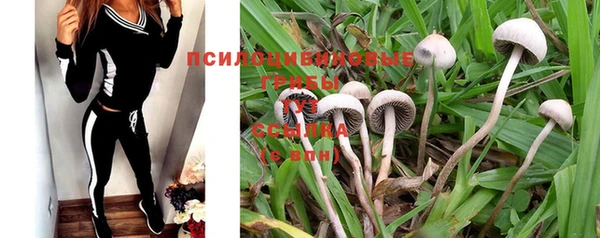 mdpv Верея
