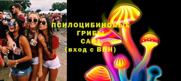 дурь Верхний Тагил