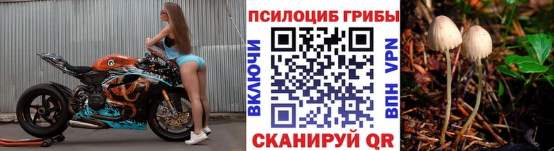 Галлюциногенные грибы Psilocybine cubensis  Карабулак 
